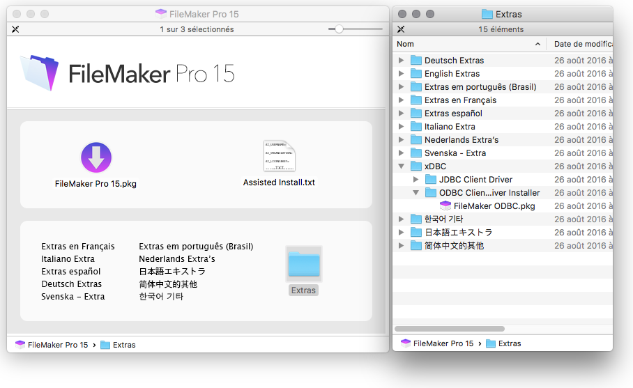 download FileMaker Pro / Server 20.3.1.31 free